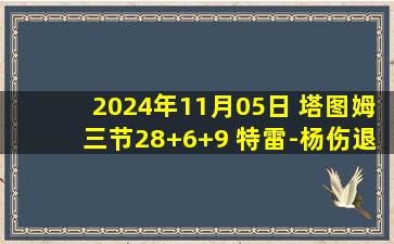 2024年11月05日 塔图姆三节28+6+9 特雷-杨伤退10中1 绿军大胜老鹰迎3连胜